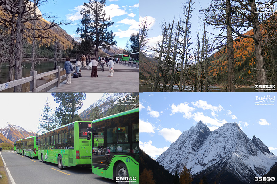 รีวิวสีดรุณี