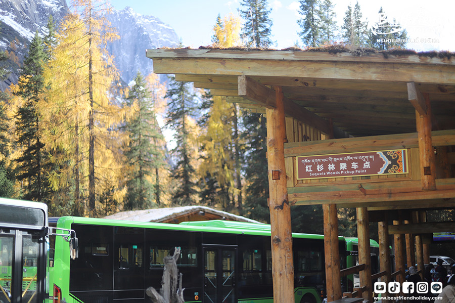 สีดรุณี